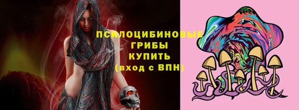 дурь Арсеньев