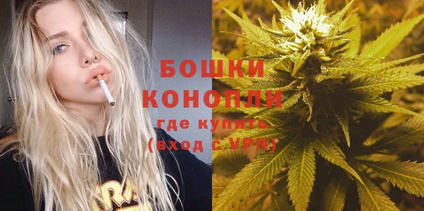 дурь Арсеньев