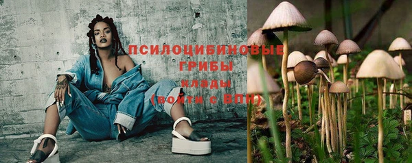 дурь Арсеньев