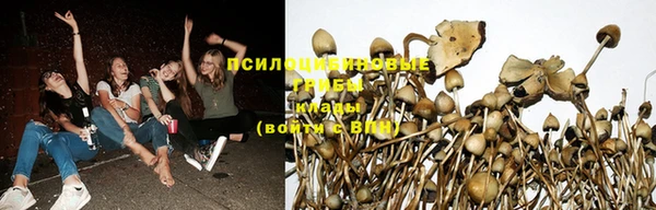 марихуана Аркадак