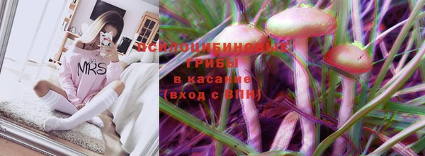 дурь Арсеньев