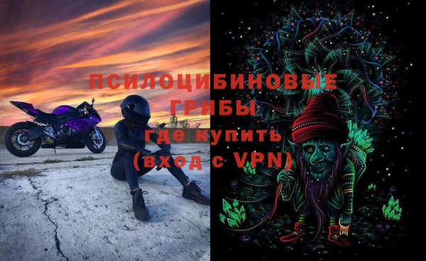 крисы Армянск
