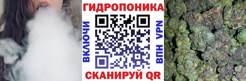 Канабис тримм  продажа наркотиков  OMG сайт  Суджа 